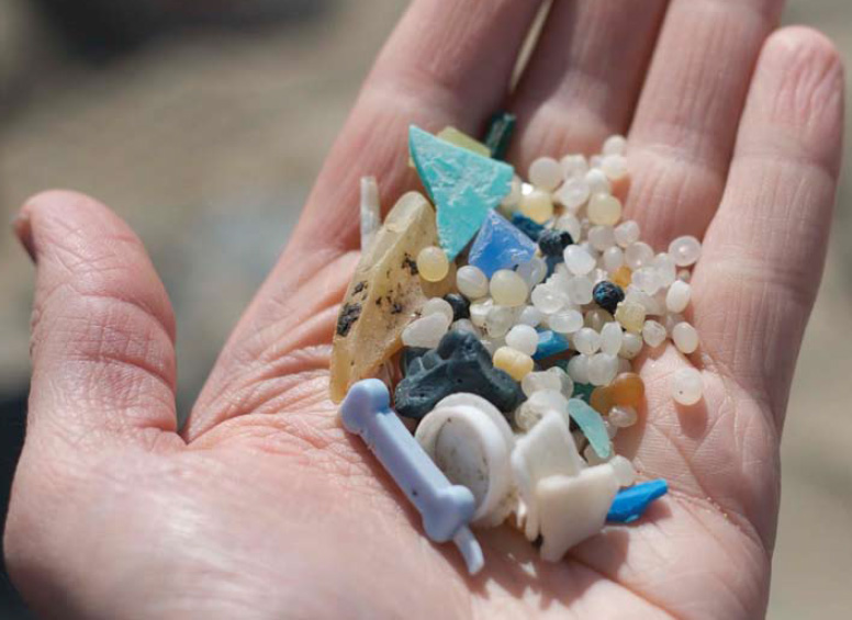 Marine Plastics 