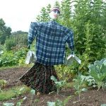 Scarecrow